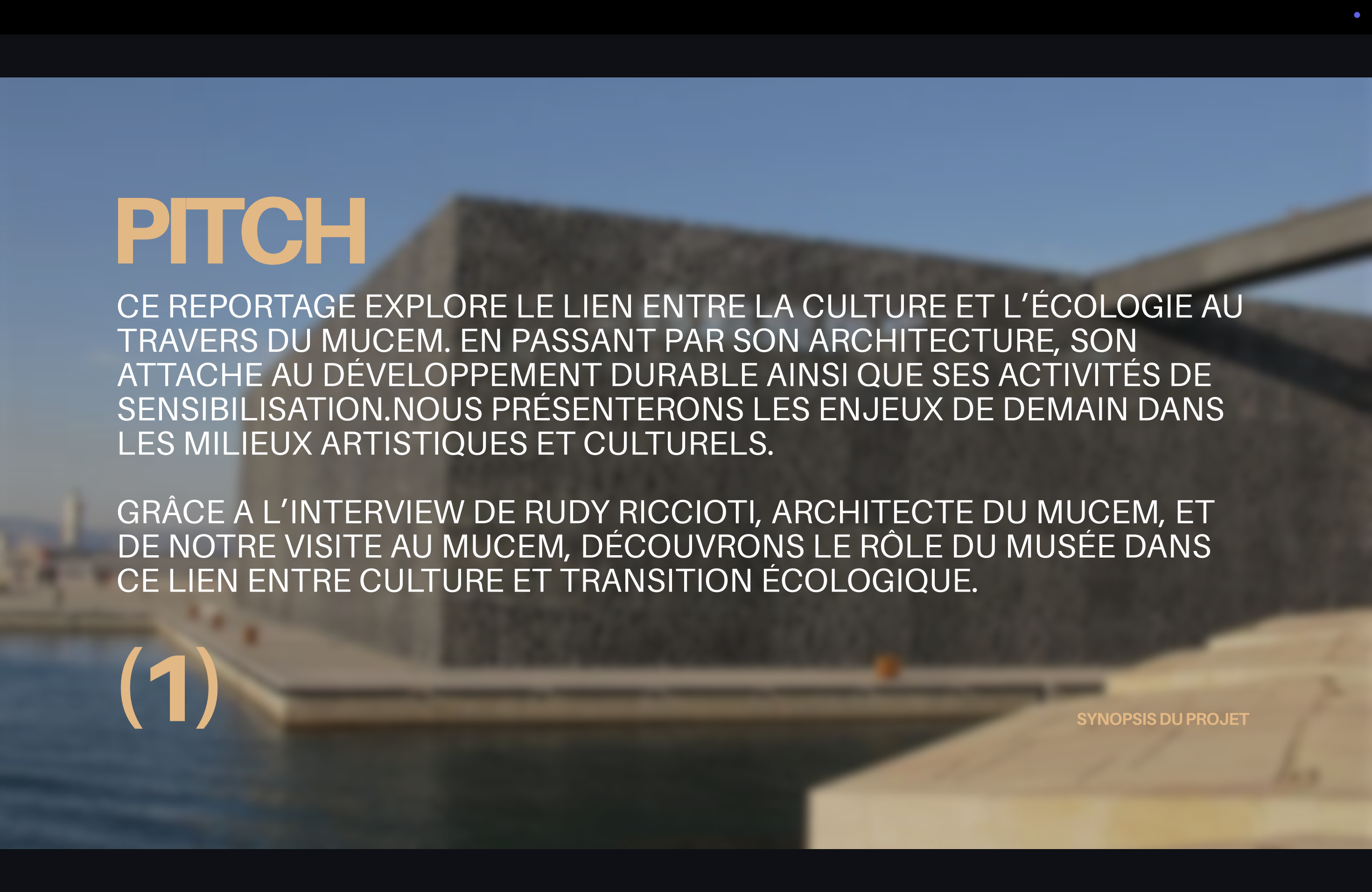 “Quand culture rime avec écologie : le rôle du Mucem”